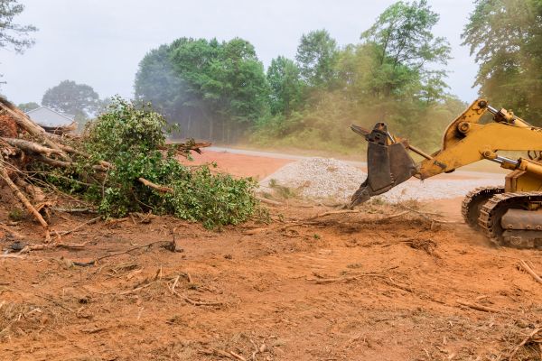 Ground Clearing in Saint Cloud