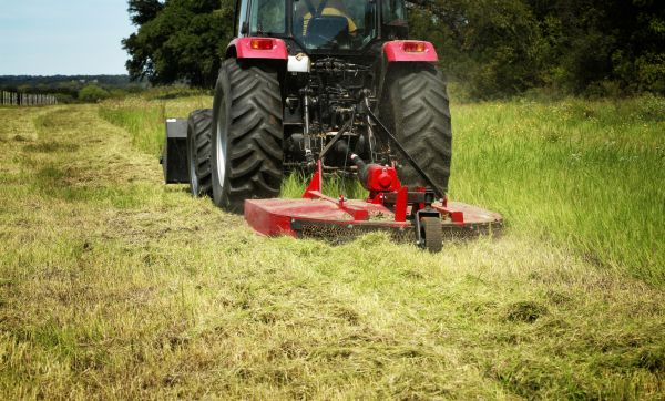 Brush Clearing Service in Saint Cloud