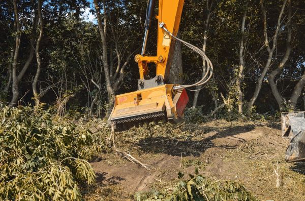 Brush Removal Service in Saint Cloud