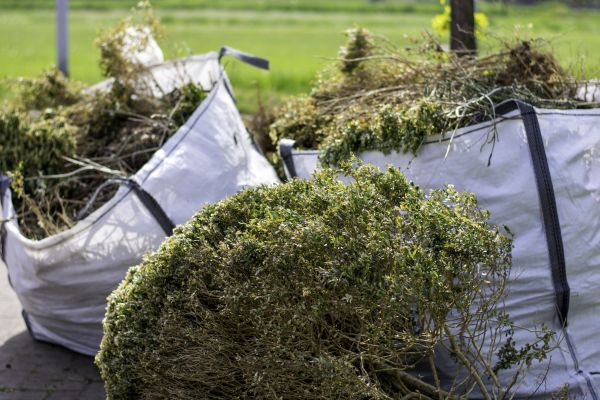 Cost of Bushes Clearing in Saint Cloud