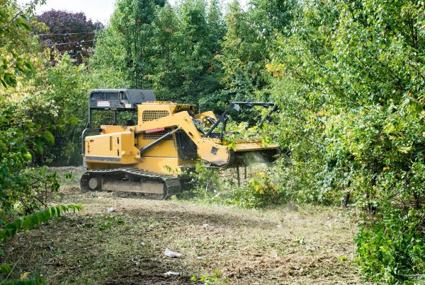 Cost of Pathway Clearing in Saint Cloud