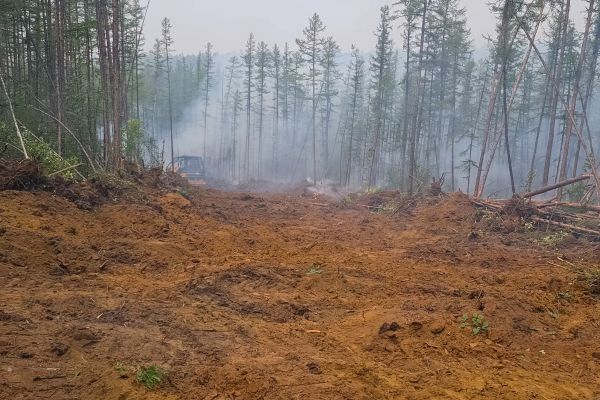 Cost of Hill Clearing in Saint Cloud