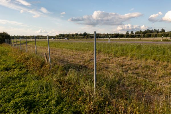 Cost of Property Line Clearing in Saint Cloud