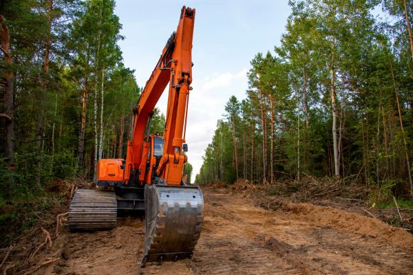 Cost of Backhoe Land Clearing in Saint Cloud