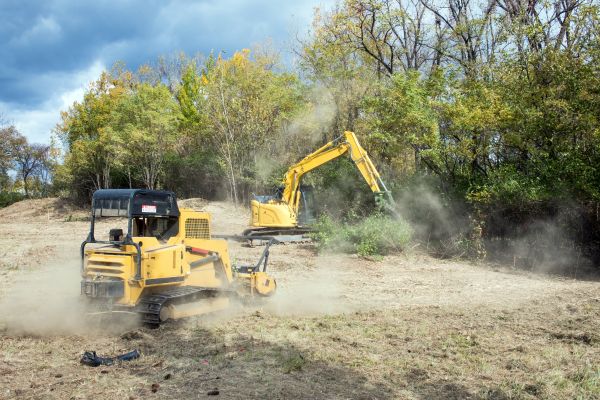 Cost of Terrain Clearing in Saint Cloud