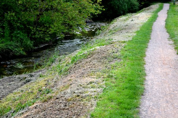 Cost of Trail Cutting in Saint Cloud